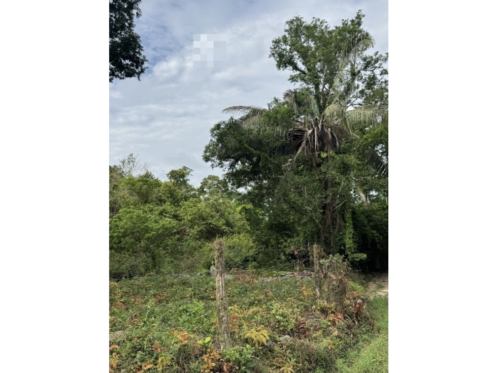 LOTE TERRENO EL BONGO .../EN LA ISLA DE BARU