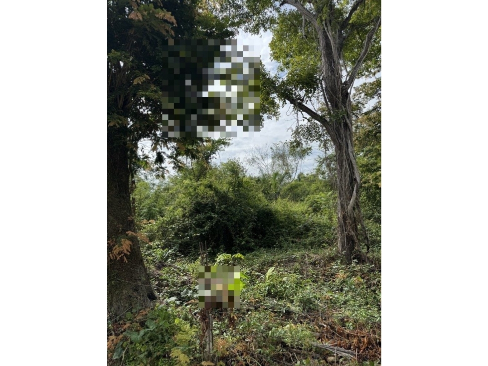 LOTE TERRENO EL BONGO .../EN LA ISLA DE BARU — foto 2