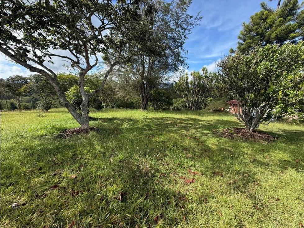 Lote Terreno en Vda. Ojo de Agua Rionegro — foto 6