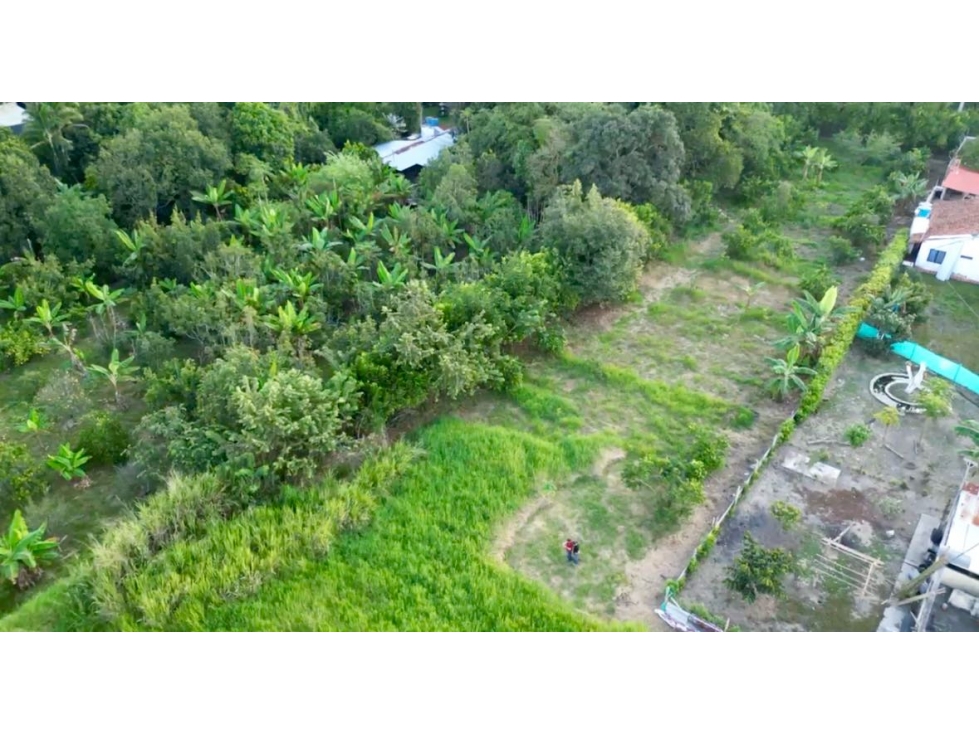Lote campestre plano en venta - Buchitolo Candelaria Valle Colombia - 2