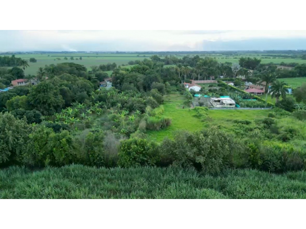 Lote campestre plano en venta - Buchitolo Candelaria Valle Colombia - 4
