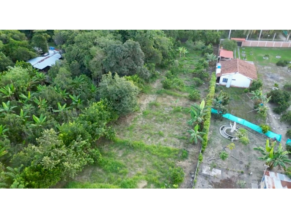 Lote campestre plano en venta - Buchitolo Candelaria Valle Colombia - 5