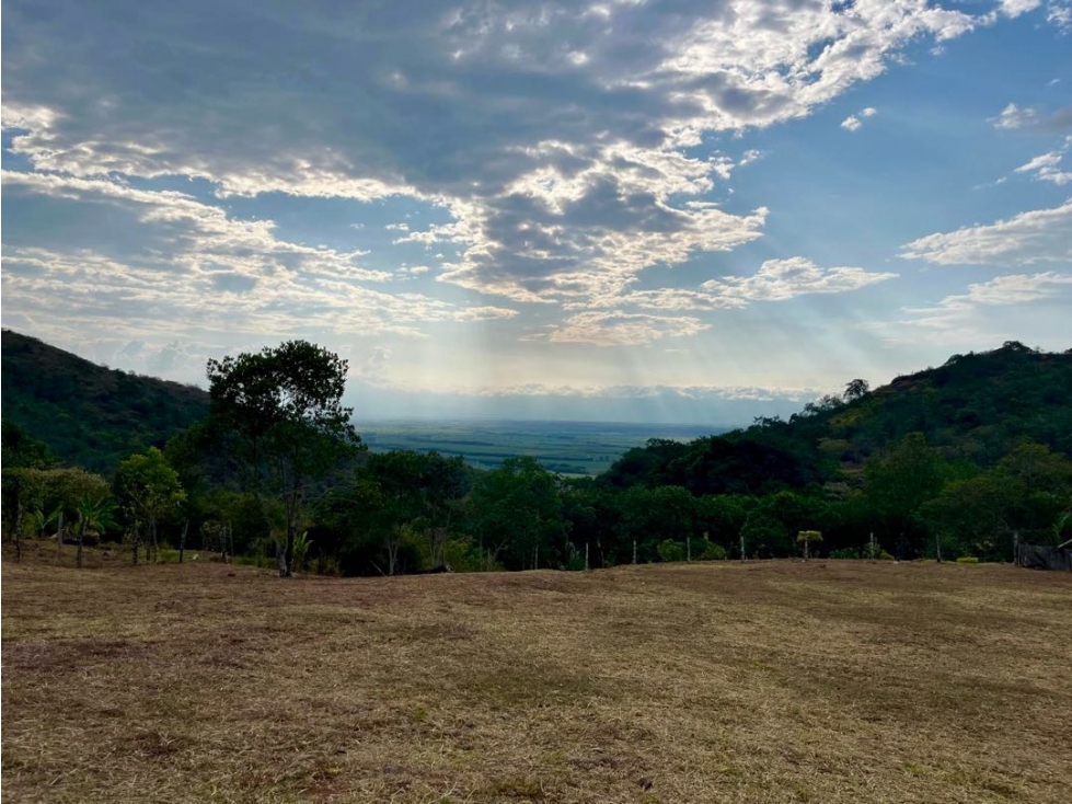 Lote terreno en venta - Condominio campestre La Acuarela Palmira Valle - 1