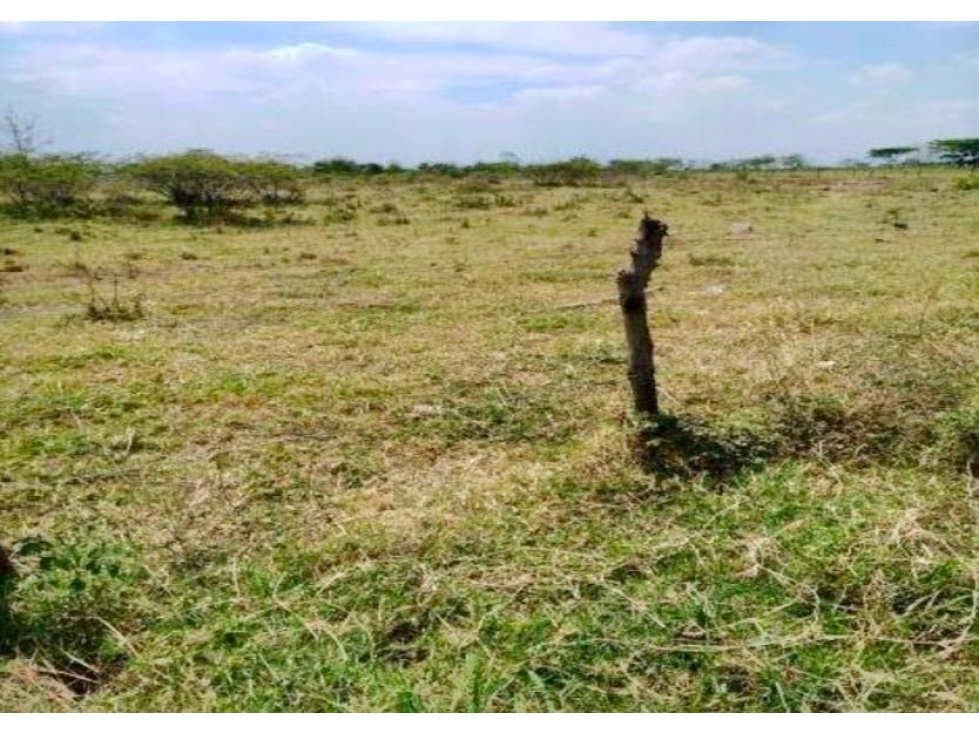 Lote / terreno en venta - Corregimiento de Juanchito Candelaria Valle - 1