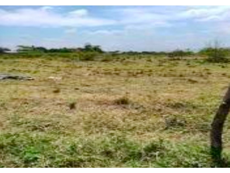 Lote / terreno en venta - Corregimiento de Juanchito Candelaria Valle - 6