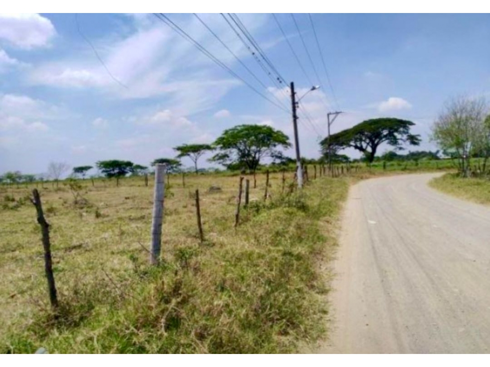 Lote / terreno en venta - Corregimiento de Juanchito Candelaria Valle - 5