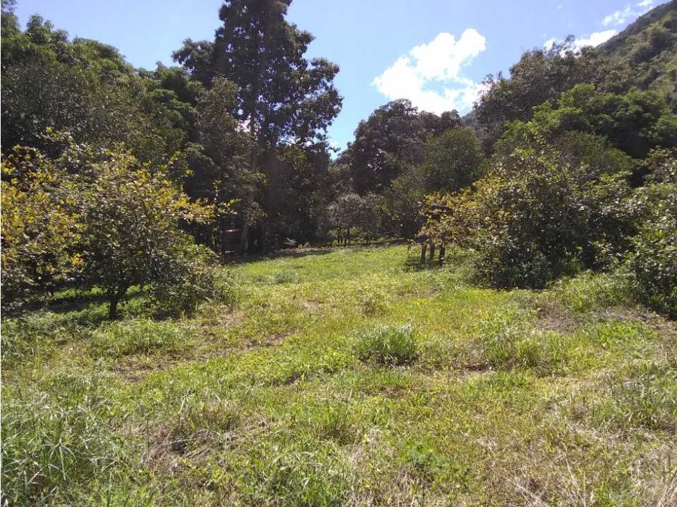 Lote / Terreno en Venta en San Jerónimo Antioquia, Colombia. - 2