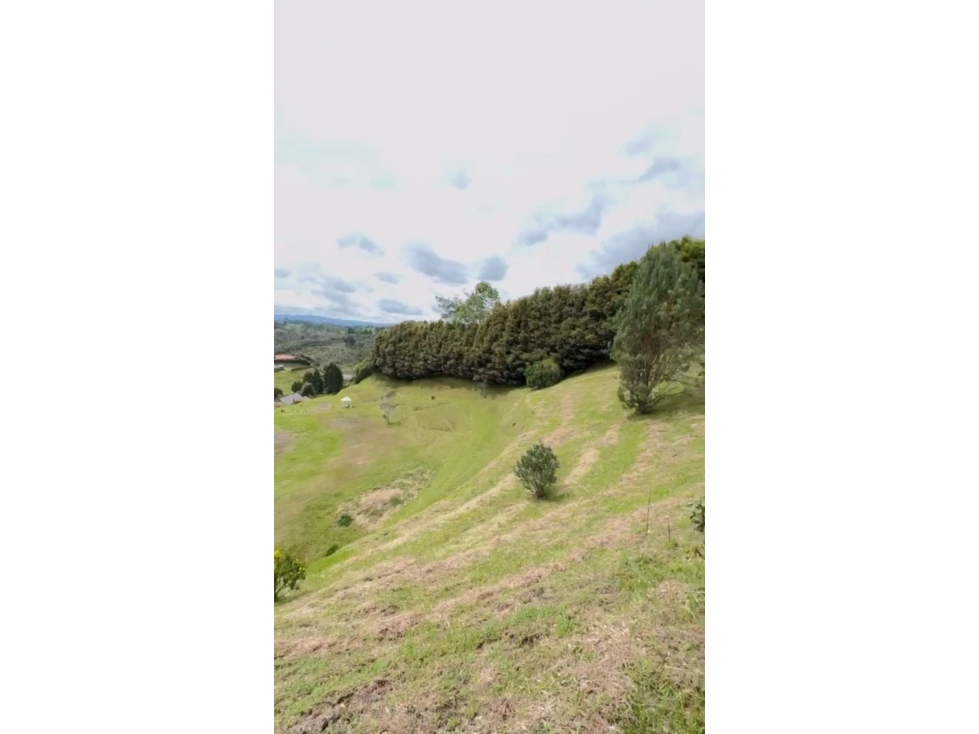 Lote en Venta en Guarne — foto 4