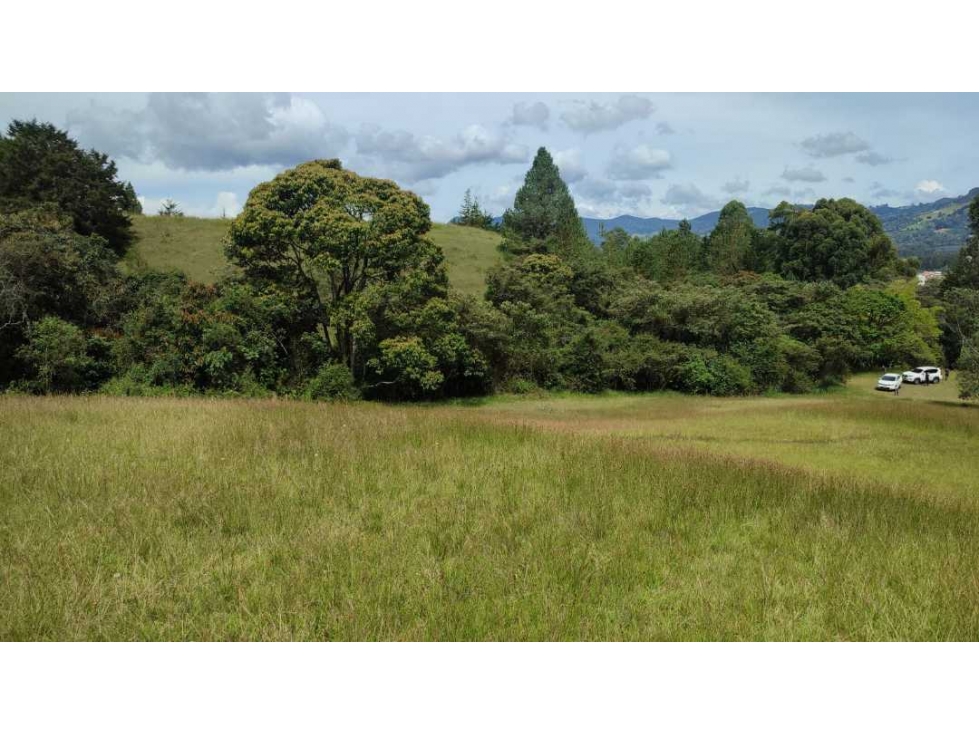 vendo lote en la Ceja Antioquia cerca al pueblo 15.000 m2 — foto 3