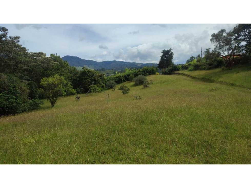 vendo lote en la Ceja Antioquia cerca al pueblo 15.000 m2 — foto 5