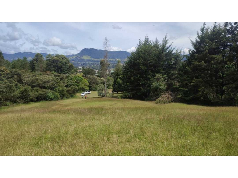 vendo lote en la Ceja Antioquia cerca al pueblo 15.000 m2 — foto 6