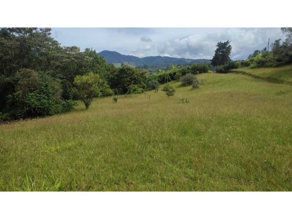 vendo lote en la Ceja Antioquia cerca al pueblo 15.000 m2 — foto 2