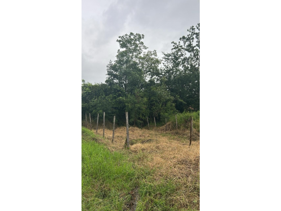 Lote / terreno en venta - Santa Elena El Cerrito Valle Colombia - 5