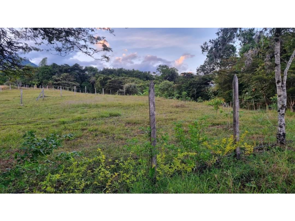 Lote / terreno en venta - Santa Elena El Cerrito Valle Colombia - 1