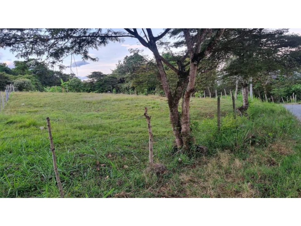 Lote / terreno en venta - Santa Elena El Cerrito Valle Colombia - 2