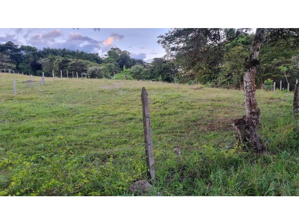Lote / terreno en venta - Santa Elena El Cerrito Valle Colombia - 4