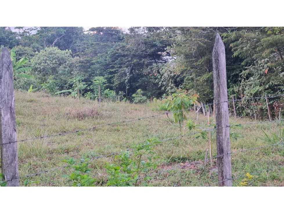 Lote / terreno en venta - Santa Elena El Cerrito Valle Colombia - 5
