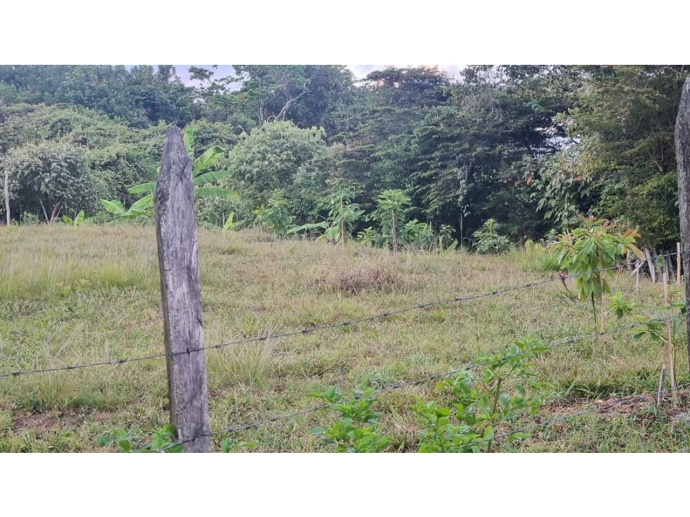 Lote / terreno en venta - Santa Elena El Cerrito Valle Colombia - 6