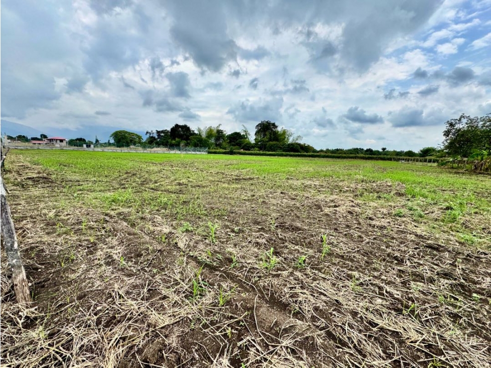 Lote / terreno en venta - Santa Elena El Cerrito Valle Colombia