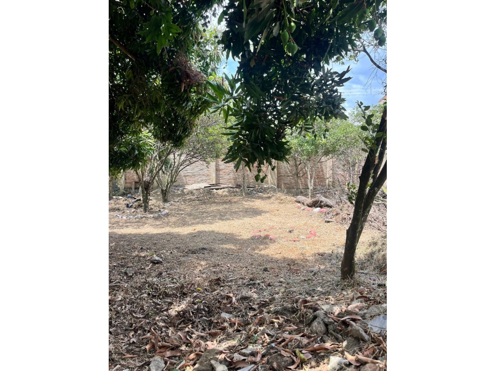 Lote terreno en zona urbana en venta Santa Elena El Cerrito Valle - 4