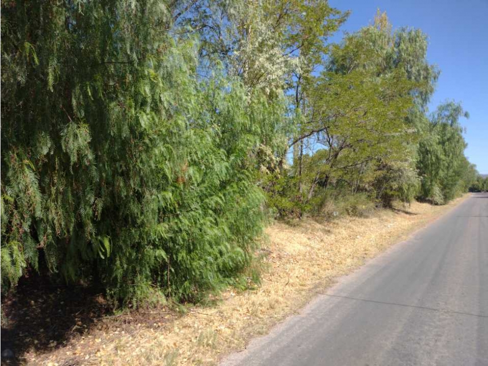 LOTE, TERRENO, FINCA RAMA CAIDA SAN RAFAEL - 3