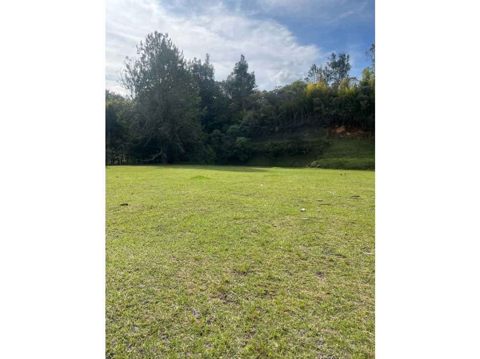 Lote terreno vía la acuarela — foto 3