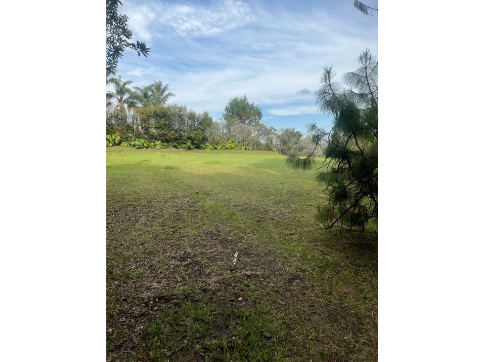 Lote terreno vía la acuarela — foto 4