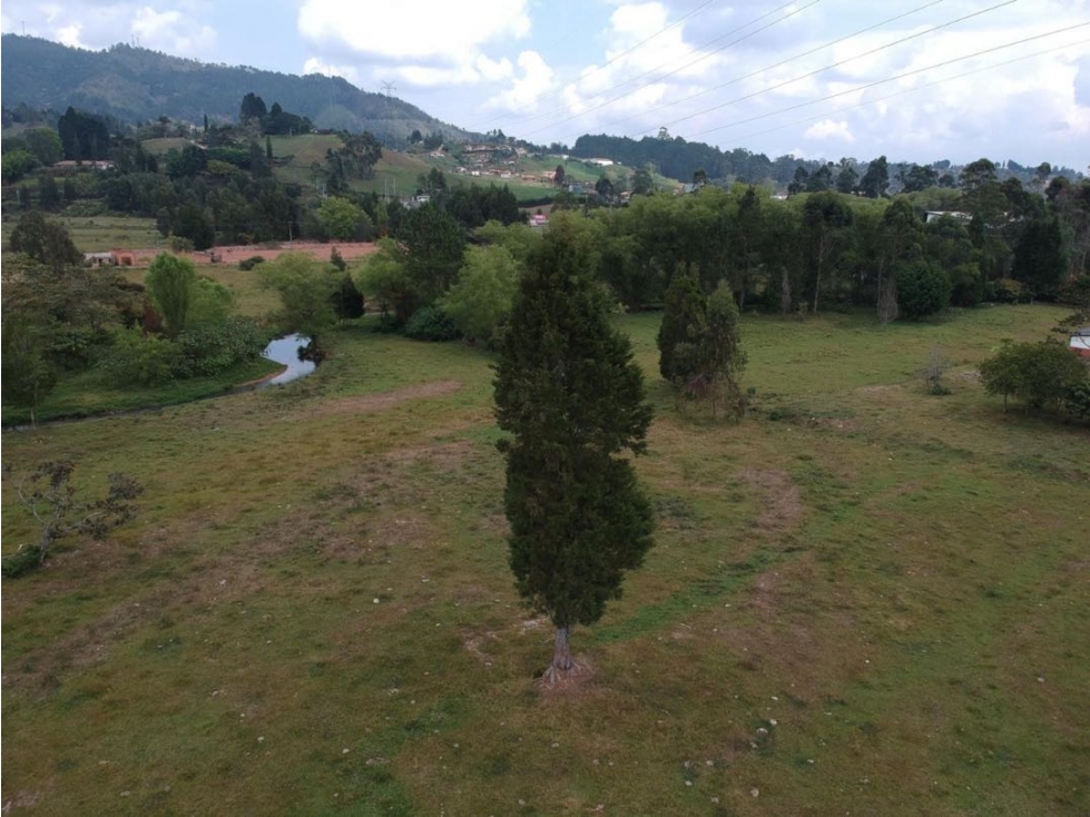 Lote totalmente plano Guarne - Antioquia — foto 6