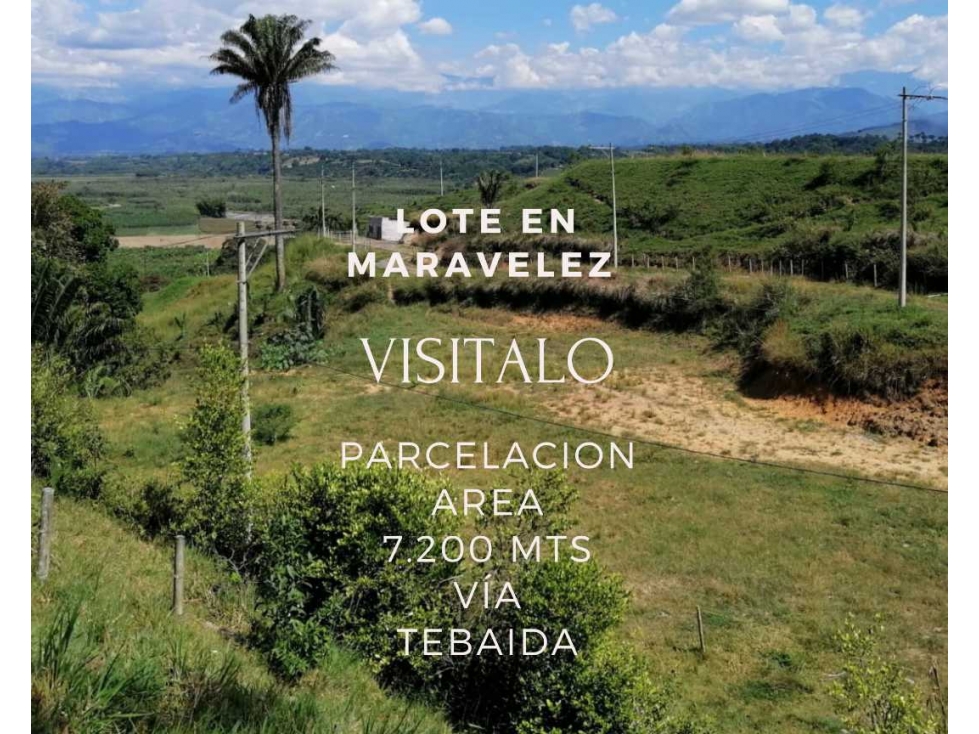 LOTE UBICADO.EN MARAVELEZ.QUINDIO. - 1