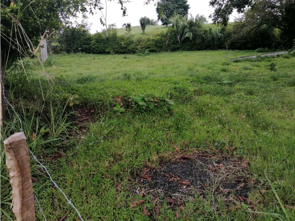 LOTE UBICADO.EN MARAVELEZ.QUINDIO. - 2