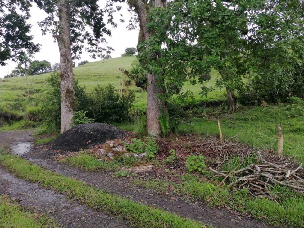 LOTE UBICADO.EN MARAVELEZ.QUINDIO. - 4