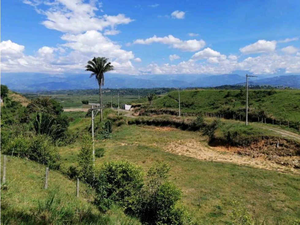 LOTE UBICADO.EN MARAVELEZ.QUINDIO. - 5