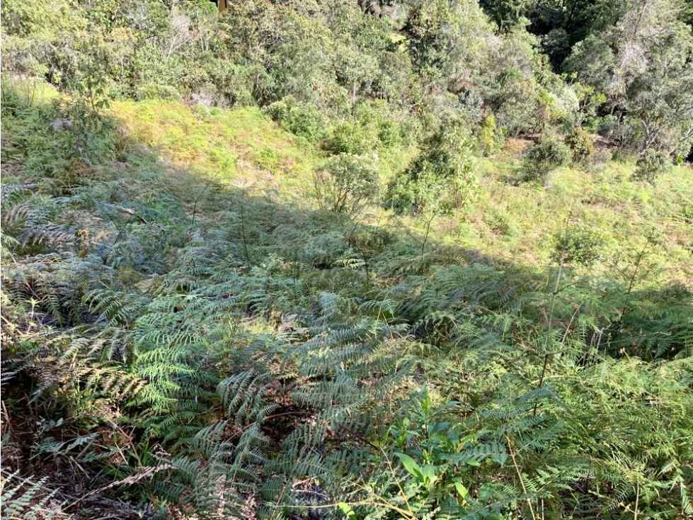 Venta Lote Semiparcelacion Exotica Vista Alto Palmas — foto 6