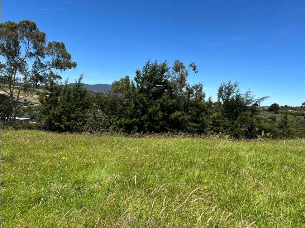 VENDEMOS Lote Unidad Cerrada Bracamonte Alto Palmas — foto 3