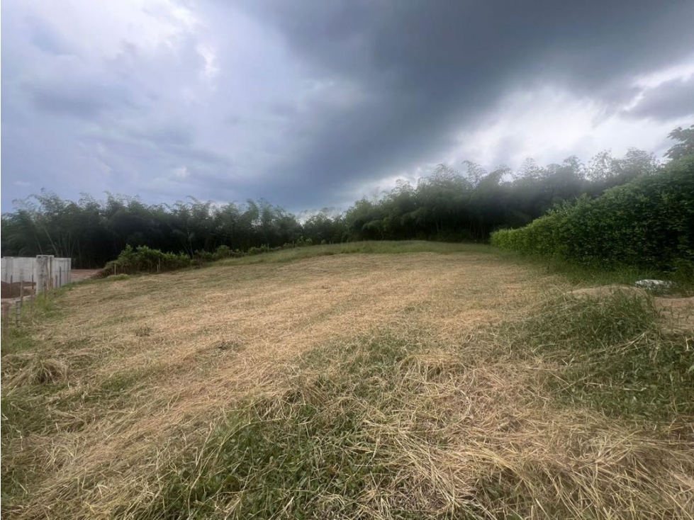 Lote Urbano Mirador de Brehmen Filandia Quindío - 1
