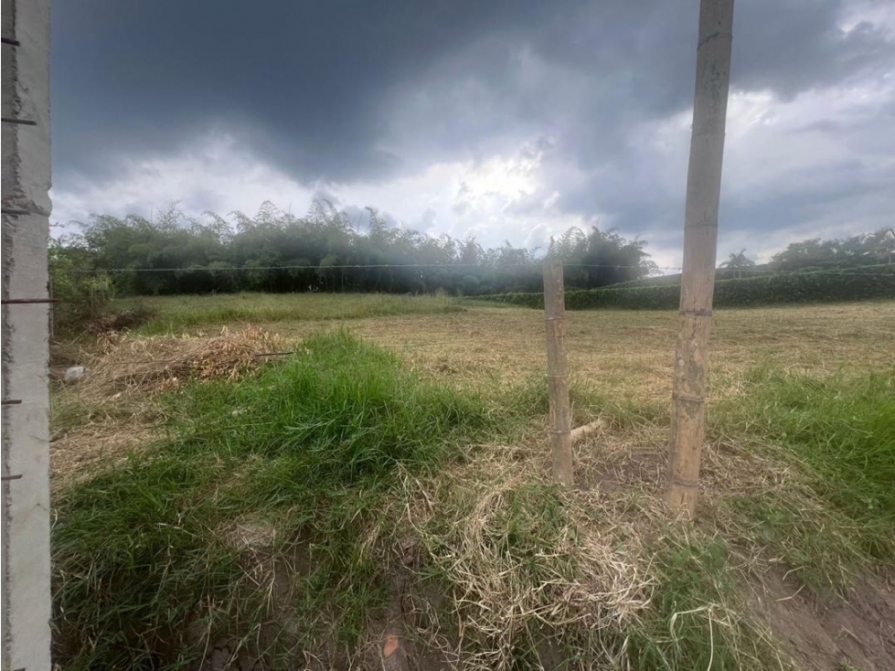 Lote Urbano Mirador de Brehmen Filandia Quindío - 2