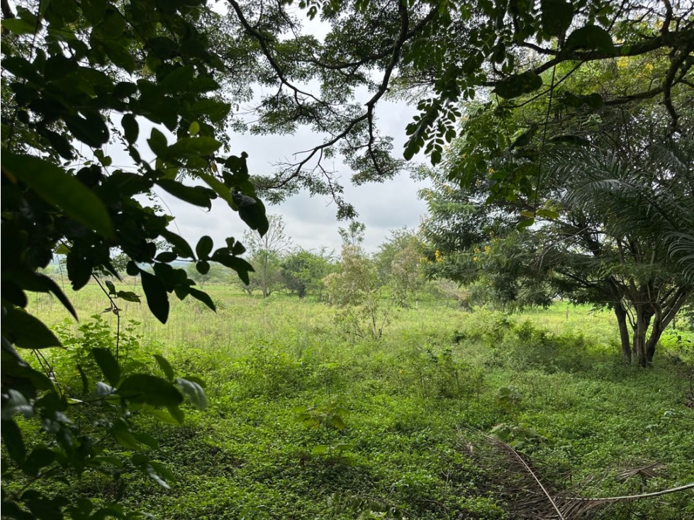 Lote urbano para desarrollo en venta, Costa rica, Ginebra Valle - 2