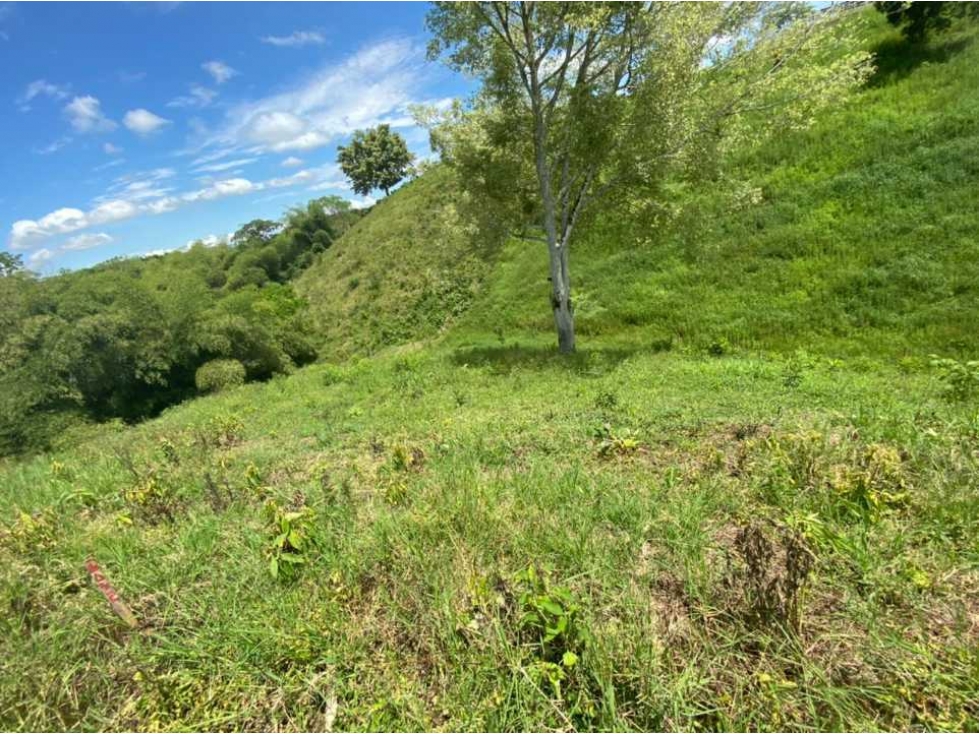 VENDO GRAN LOTE VIA ALCALA