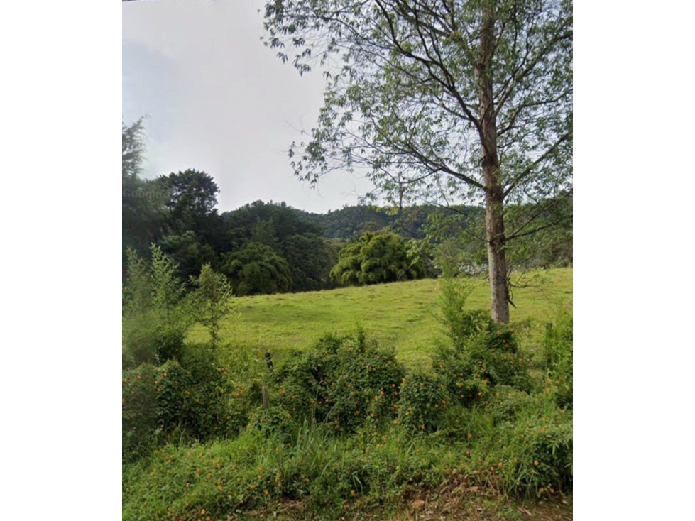 Lote Vía Don Diego Eafit Llanogrande — foto 2