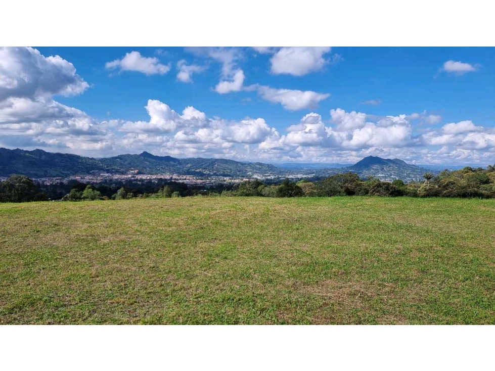 Lote La Ceja