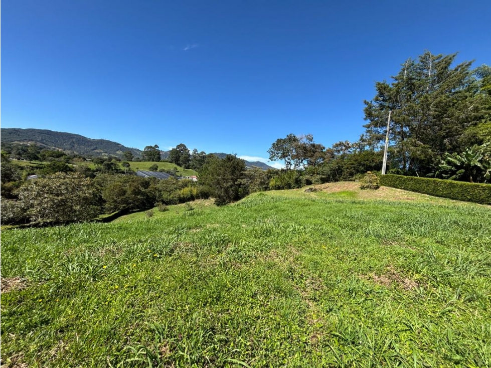 Lote vía san antonio la ceja pertenece a la ceja con vista y ubicacion
