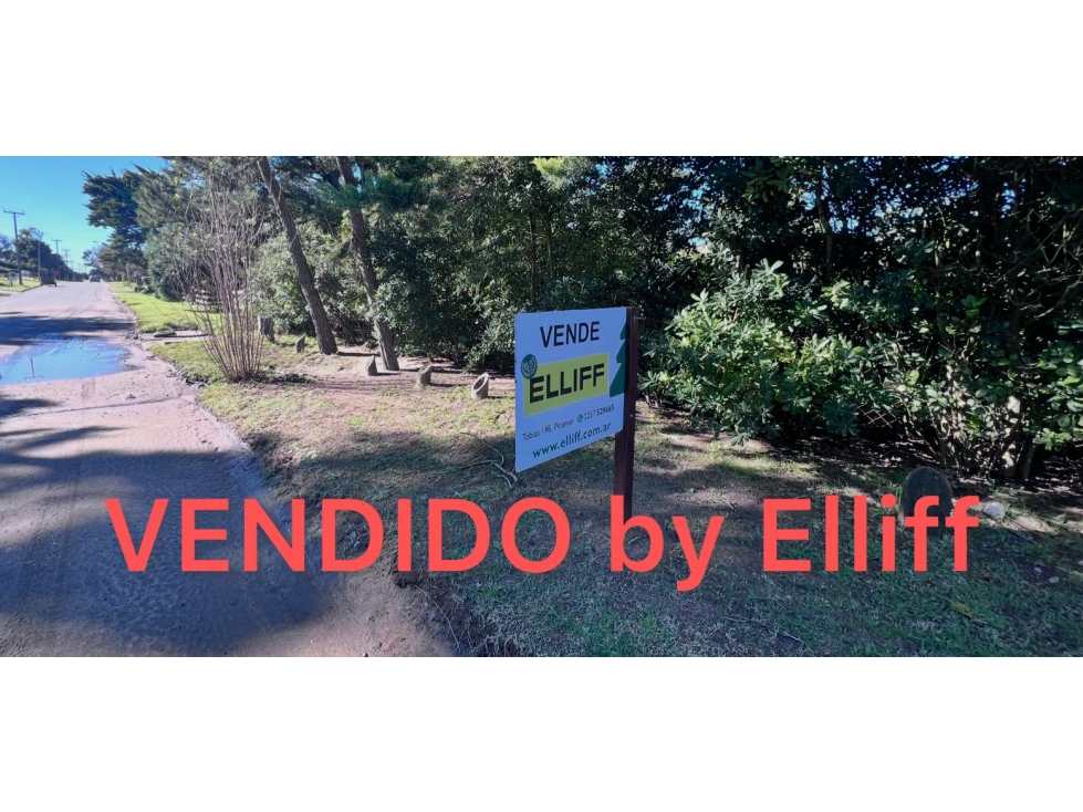 LOTE VENDIDO A BLMORAL - 1