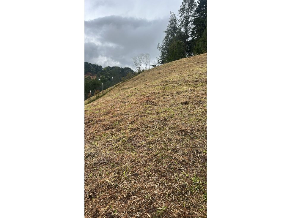 Lote venta La Ceja