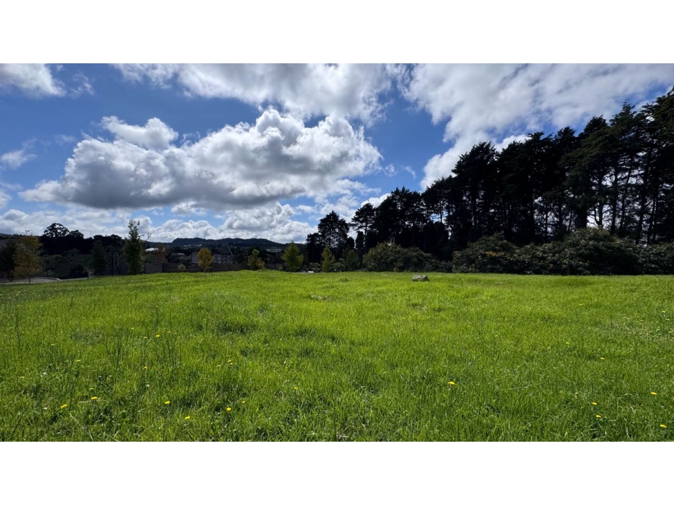 Lote Venta Alto de Arrayanes, Naturaleza y Tranquilidad. Alto palmas — foto 3