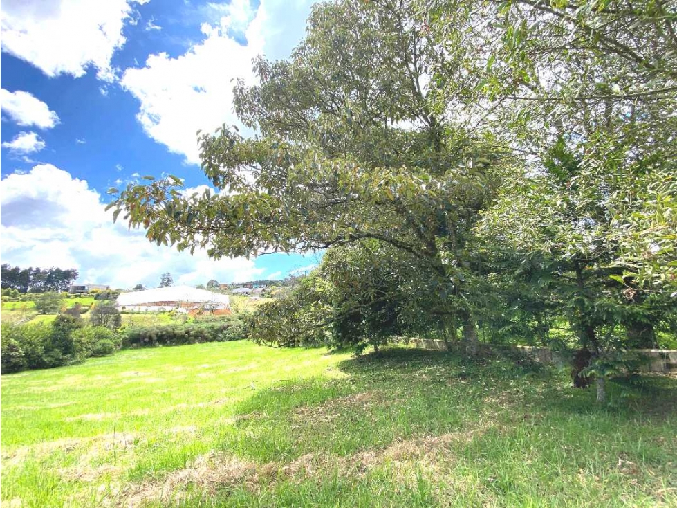Lote venta Alto de Las Palmas,Envigado, 2.753 mt2, Urbanización cerra — foto 6
