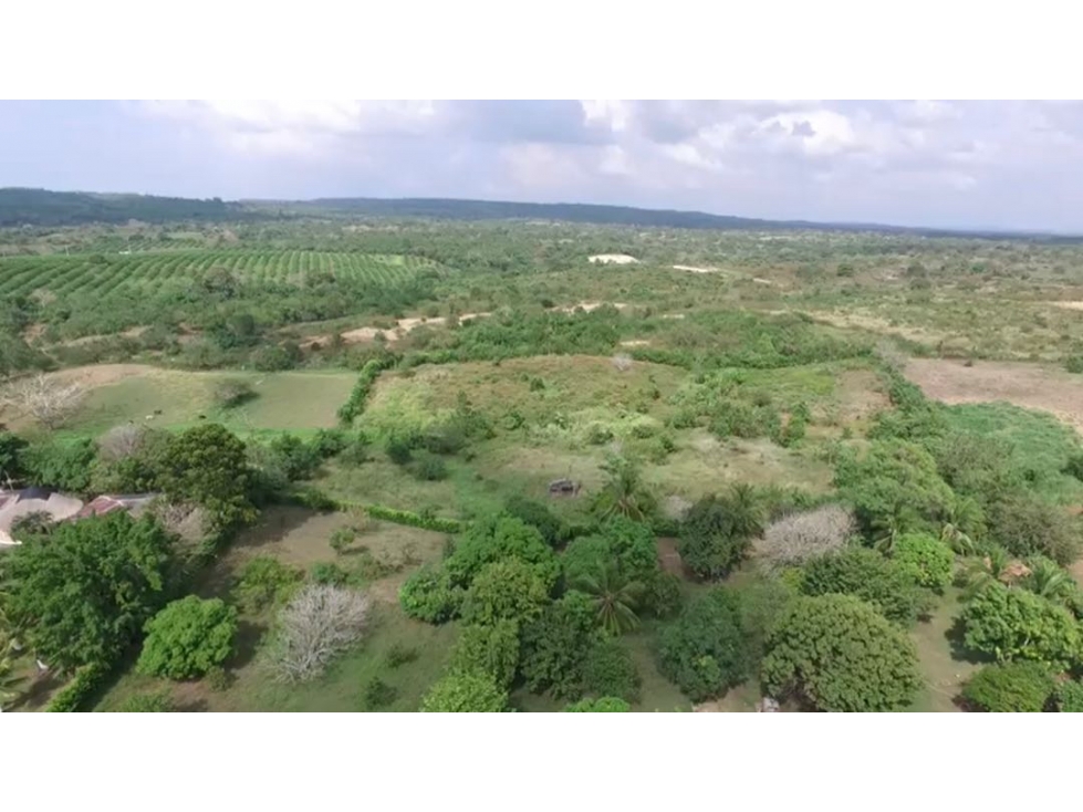 Lote en Venta Variante Mamonal Cartagena - 3