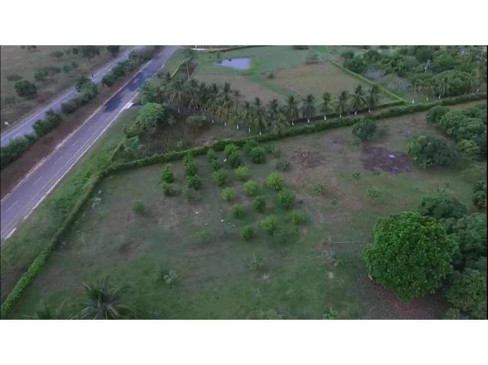 Lote en Venta Variante Mamonal Cartagena - 4