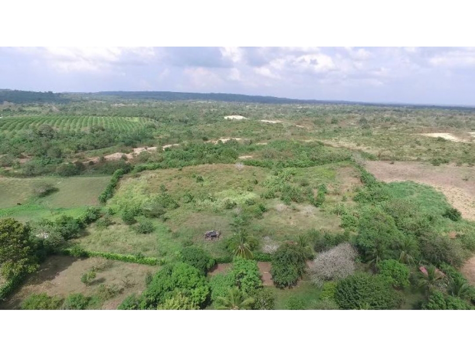 Lote en Venta Variante Mamonal Cartagena - 6