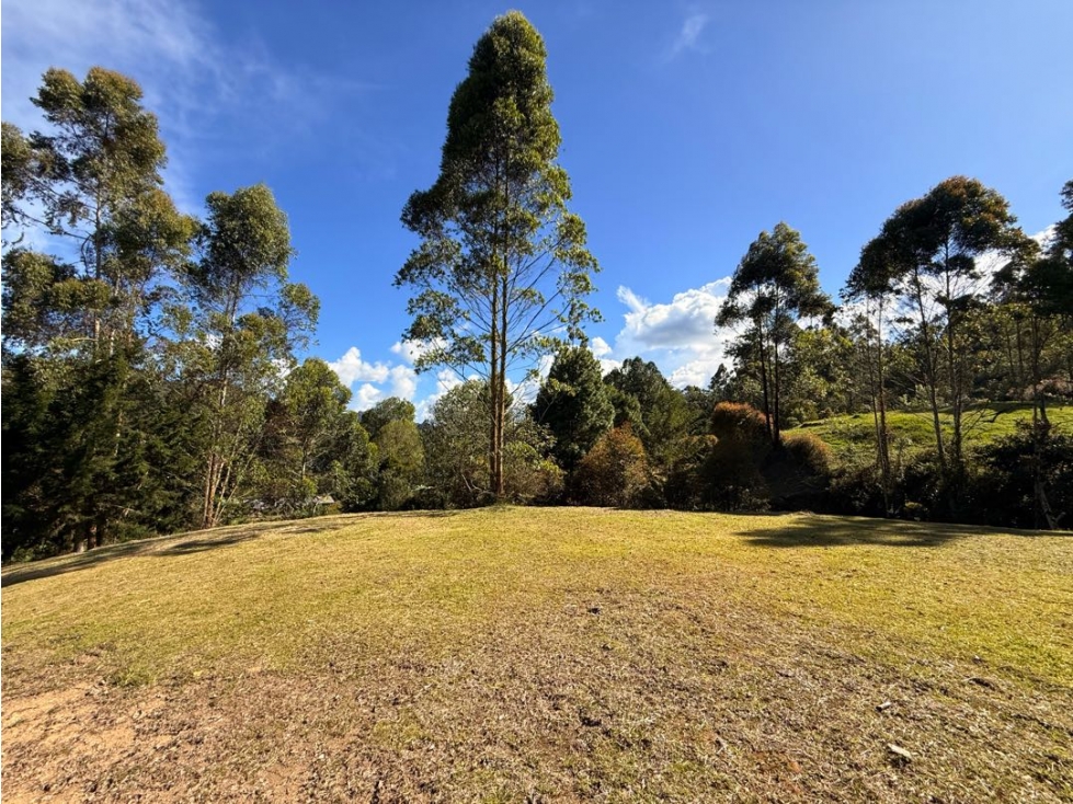 Lote via Don Diego- Llanogrande