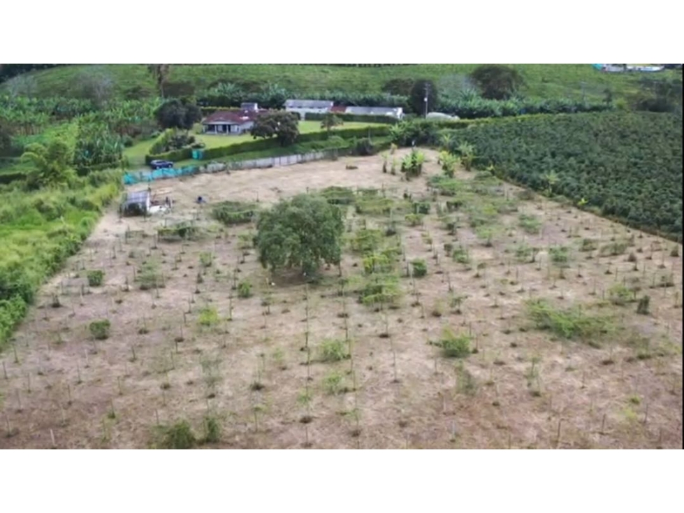 Lote via pueblo tapao — foto 2
